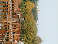 -五缘湾湿地公园