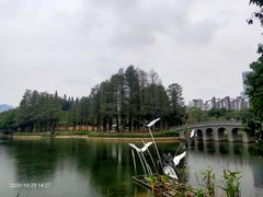 -四海公园(南山区)