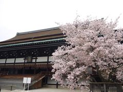 -京都御所