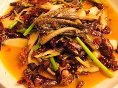 -铁公鸡·四川料理(天环广场店)