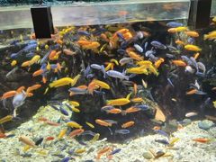 -太平洋海底世界