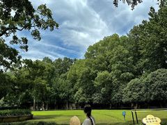 -灵谷景区