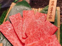 -老乾杯和牛烧肉(王府中环店)