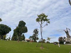 -广富林郊野公园