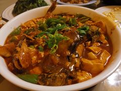 昂刺鱼烧豆腐-吉事利茶餐厅