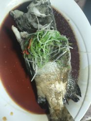 -上海金桥红枫万豪酒店·宴会厅