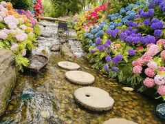 -沂蒙云瀑洞天景区