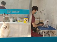 -美联众合动物医院·24h京西诊疗中心