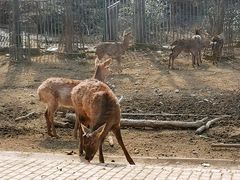 -无锡动物园·太湖欢乐园