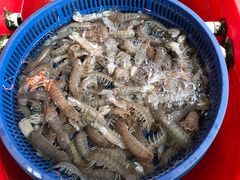 -芦潮港集贸市场