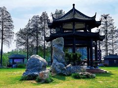 -东湖落雁景区