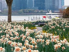 -上海港国际客运中心1号游艇码头