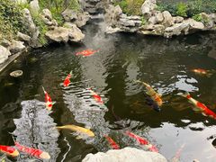 -鲤院·新中式美学·庭院餐厅(夫子庙店)