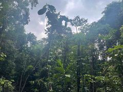 -武吉知马自然保护区