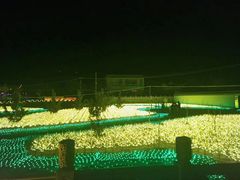 -仁寿山