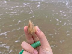 -日照灯塔风景区