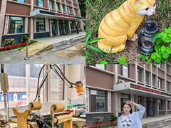 -派美特宠物医院·核磁CT·骨科肿瘤·疑难转诊(沈农禾丰店)