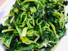清炒鸡毛菜-川外川(星海店)
