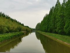 -黄海国家森林公园