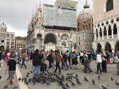 -圣马尔谷圣殿宗主教座堂