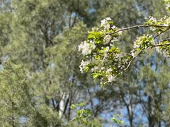 -海棠花溪(元大都城垣遗址公园)