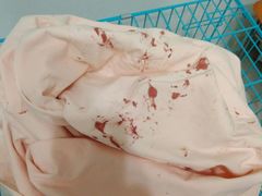 把她送去医院的布袋子。-思宇宠物医院