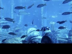 -亚龙湾海底世界
