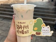 -猫的魔法密林(衣裳街店)
