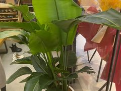 -雲己推拿院·养生SPA(江北龙湖天街店)