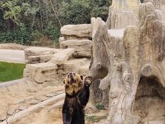 -杭州野生动物世界