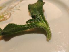 -富力丽思卡尔顿酒店·香荟全日制餐厅