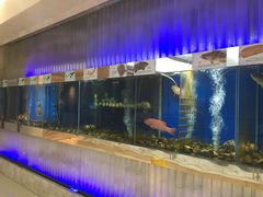 -狮王府淮扬菜(新街口友谊店)