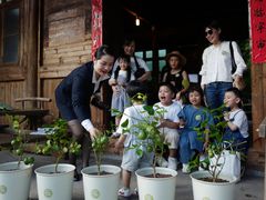 -福建鲤鱼洲酒店