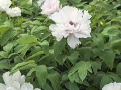 -浦江二号·独栋江景餐厅(滨江大道店)