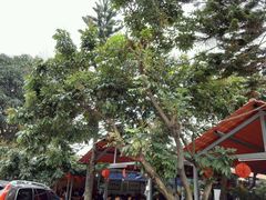 -大岗仙庙烧鸡(花东店)