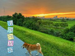 -渭河城市绿地运动公园