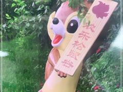 -欢乐松鼠谷