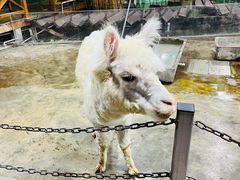 -上海大自然野生昆虫馆(东方明珠·爬宠昆虫探索中心)