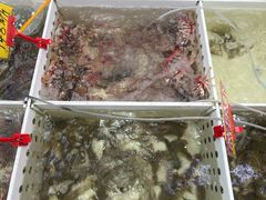 -华源餐厅·海鲜大排档(日月贝店)