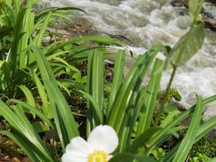 -西岭雪山大飞水景区