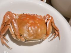 -蟹榭·本帮江浙菜·蟹宴(五角场合生汇商场店)