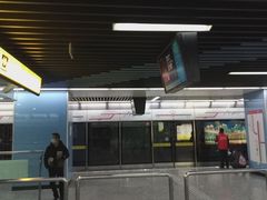 -大龙山(地铁站)