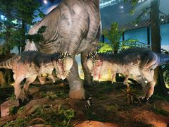 -湖南省地质博物馆