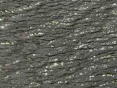 -灞河西岸滨河公园