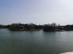 -贡湖湾湿地公园