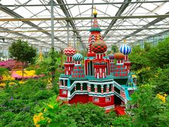 -南宫五洲植物乐园