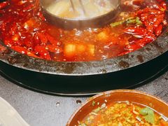 -渝大狮毛肚老火锅(普陀店)