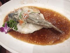 -古南都·老广东酒楼(龙江店)