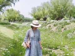 -汉长安城未央宫国家考古遗址公园