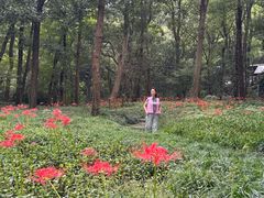 -中国茶叶博物馆(双峰馆区)